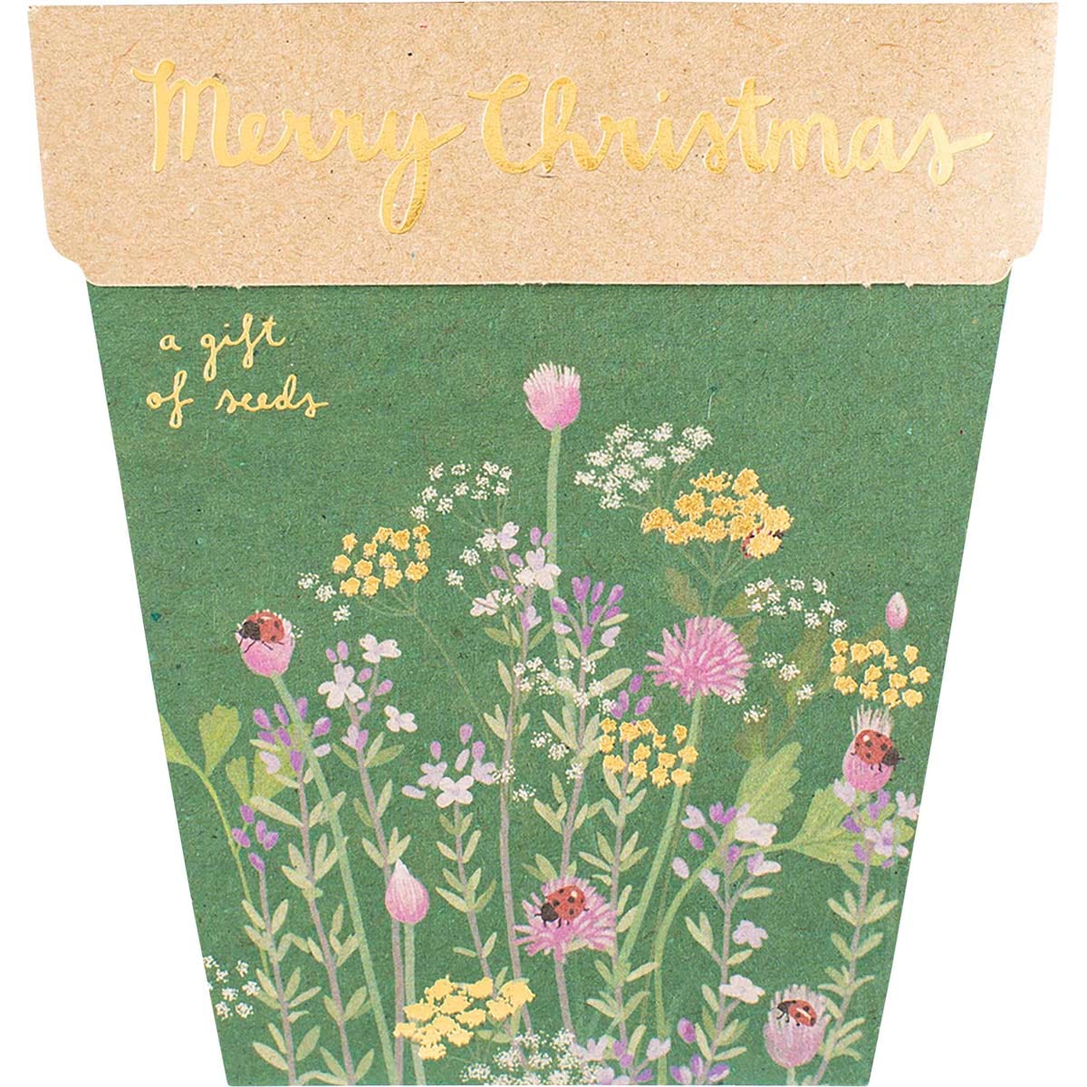 Sow 'n Sow Gift of Seeds Merry Christmas - Sow 'n Sow