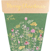 Sow 'n Sow Gift of Seeds Merry Christmas - Sow 'n Sow