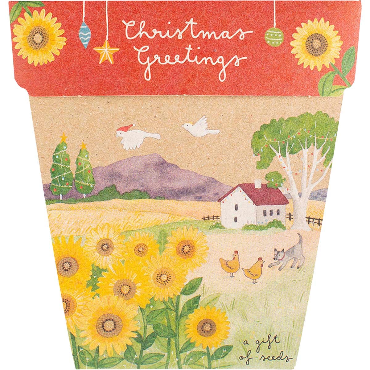 Sow 'n Sow Gift of Seeds Christmas Sunflowers - Sow 'n Sow