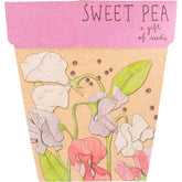 Sow 'n Sow Gift of Seeds Sweet Pea