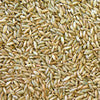 Organic Rye Grain