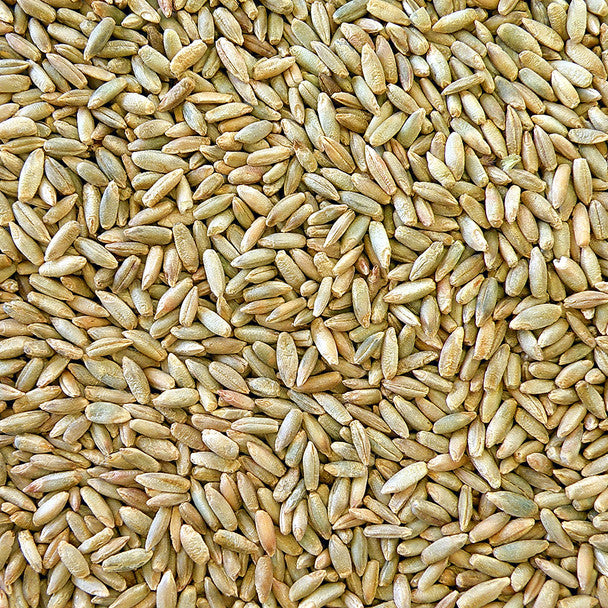 Honest to Goodness Organic Rye Grain