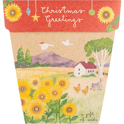 Sow 'n Sow Gift of Seeds Christmas Sunflowers - Sow 'n Sow
