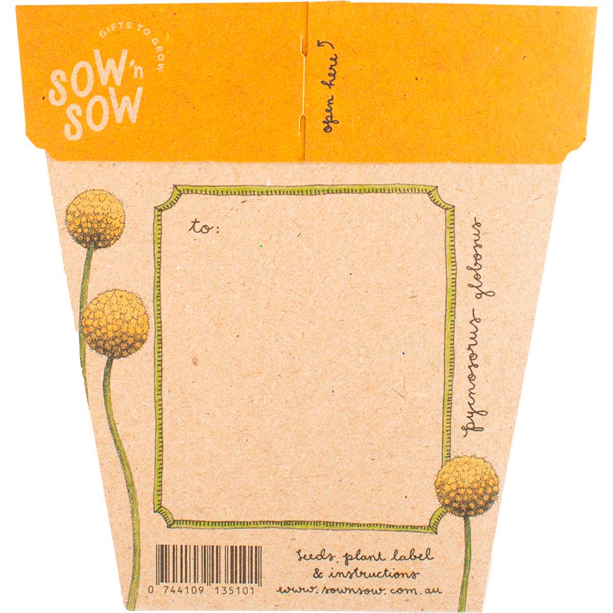 Sow 'n Sow Gift of Seeds Billy Buttons