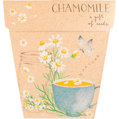 Sow 'n Sow Gift of Seeds Chamomile