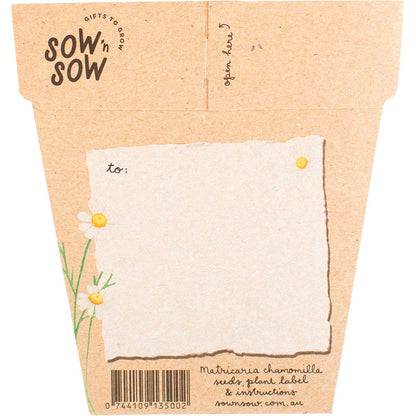 Sow 'n Sow Gift of Seeds Chamomile