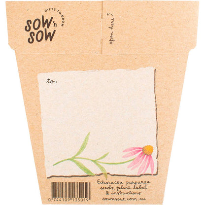 Sow 'n Sow Gift of Seeds Echinacea