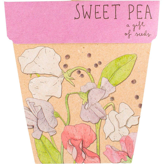 Sow 'n Sow Gift of Seeds Sweet Pea