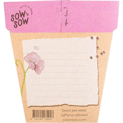 Sow 'n Sow Gift of Seeds Sweet Pea