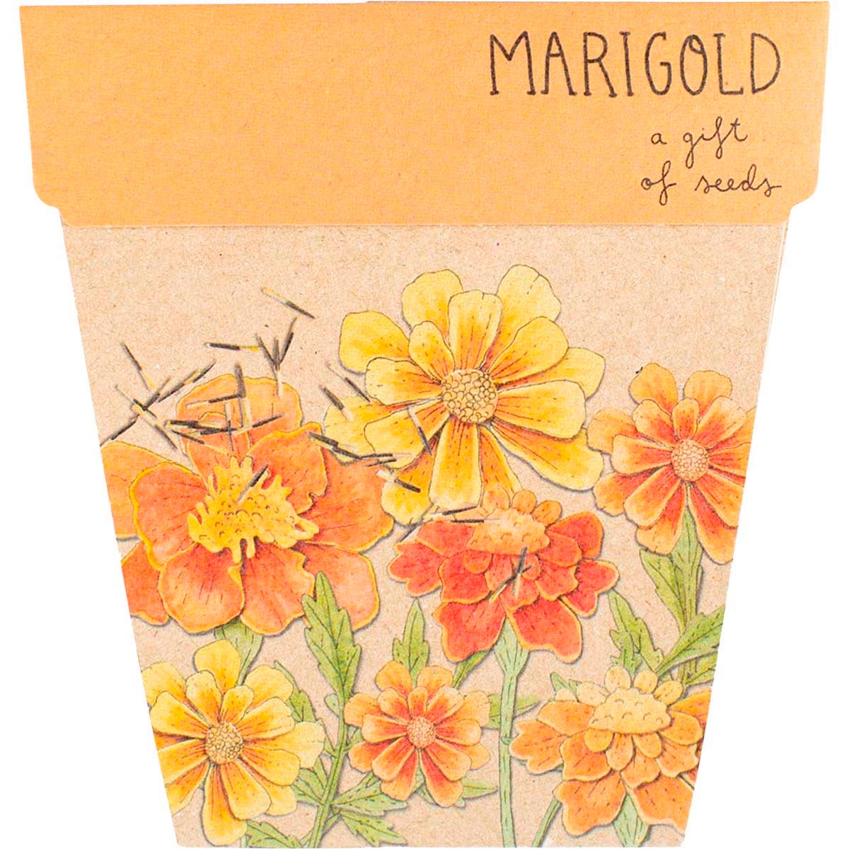 Sow 'n Sow Gift of Seeds Marigolds