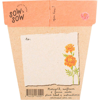 Sow 'n Sow Gift of Seeds Secret Garden