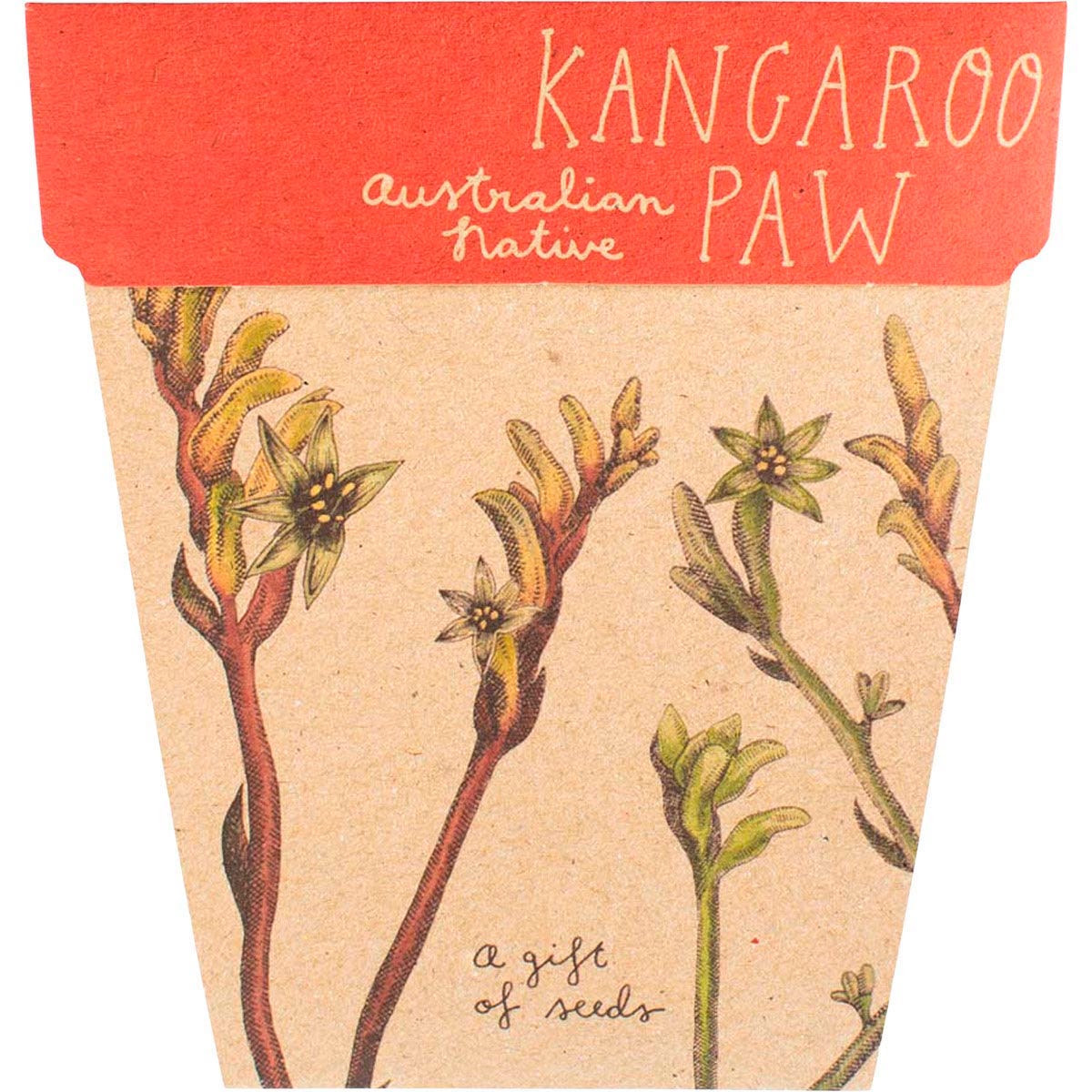 Sow 'n Sow Gift of Seeds Kangaroo Paw