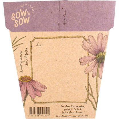 Sow 'n Sow Gift of Seeds Swan River Daisy