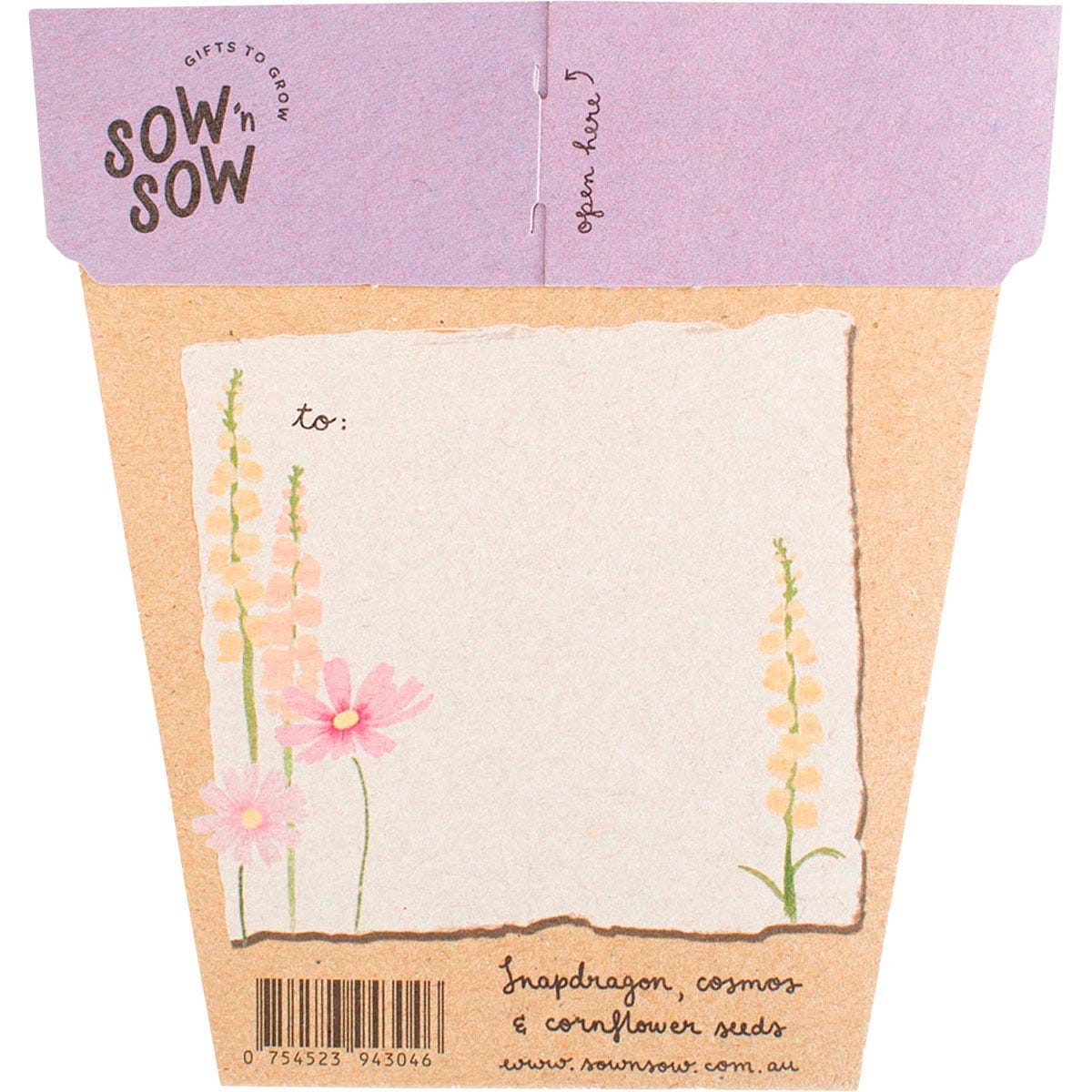 Sow 'n Sow Gift of Seeds Happy Birthday Picnic