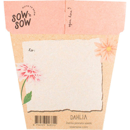 Sow 'n Sow Gift of Seeds Dahlia