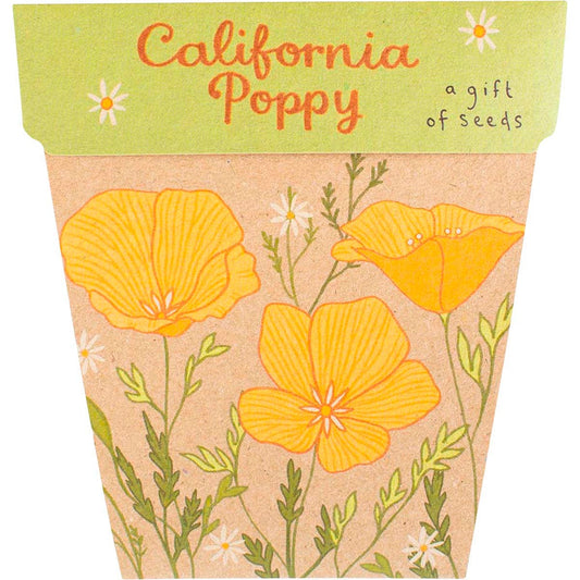 Sow 'n Sow Gift of Seeds California Poppy