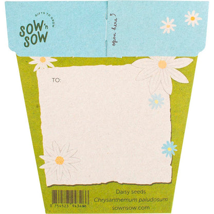 Sow 'n Sow Gift of Seeds Daisy