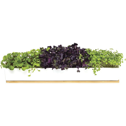 Urban Greens Windowsill Grow Kit Microgreens 45x8x6cm