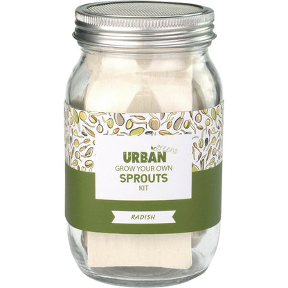 Urban Greens Grow Your Own Sprouts Kit Radish 10x10x17cm